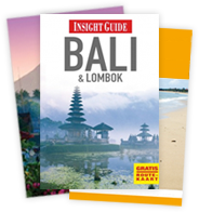 Reisgids Bali