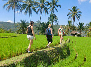 Wandelen Bali